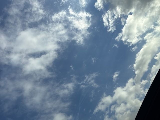 2025 INFINITI QX50 Sport AWD