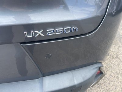2020 Lexus UX 250h F SPORT